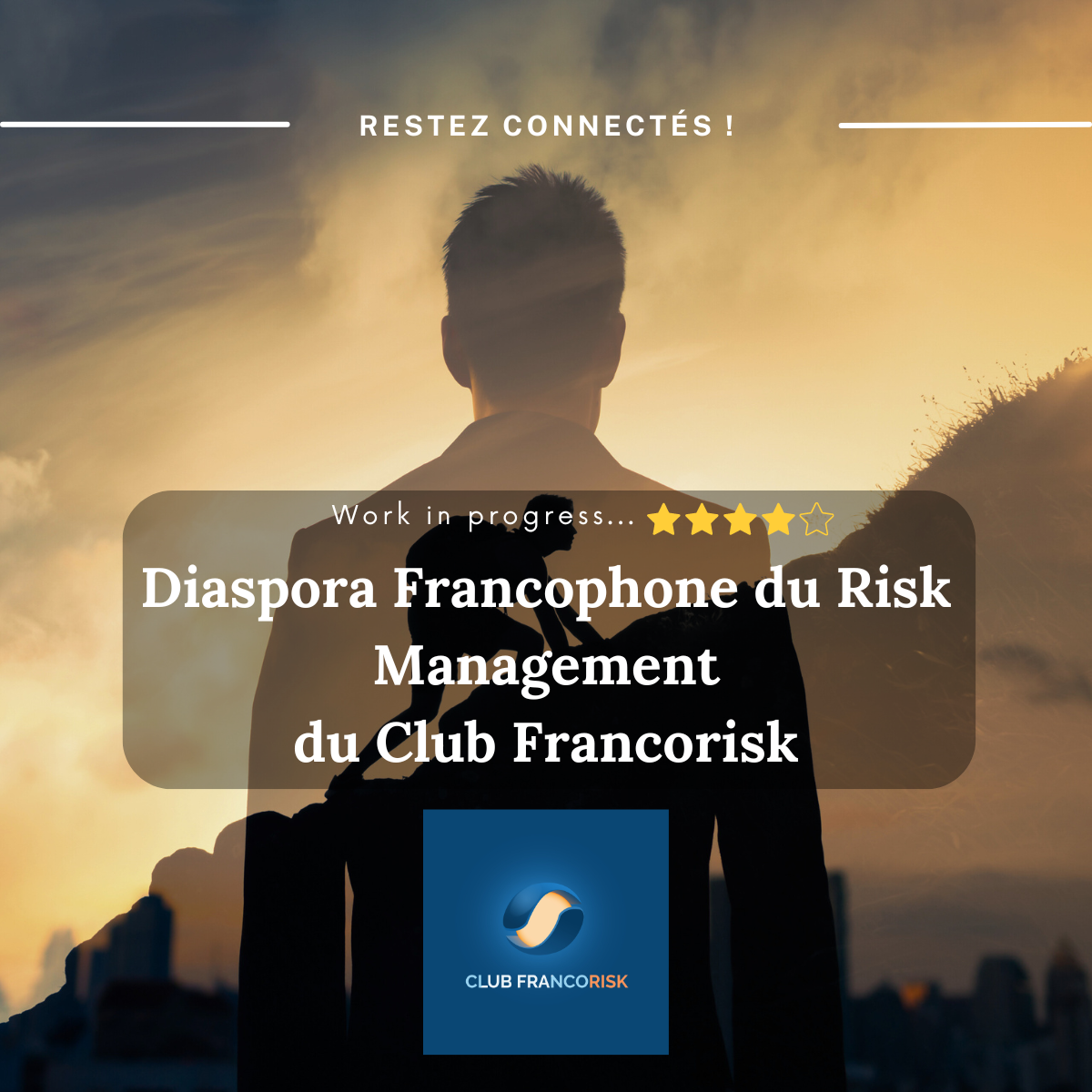 Diaspora Francophone Du Risk Management